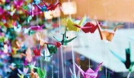 吃瓜千纸鹤,揭秘网络红人的魅力与争议