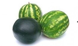 定州开元吃瓜事件,一场引发热议的美食狂欢