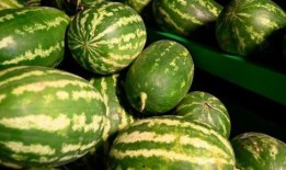 江西吃瓜热门事件,揭秘网络舆论背后的真相与反思