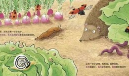 《吃大瓜》绘本剧,一场欢乐的绘本剧冒险之旅