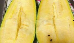 三林崩瓜什么时候吃最好