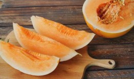 道士可以吃蜜瓜,蜜瓜的神奇功效