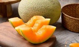 小月亮吃哈密瓜,小月亮的哈密瓜盛宴之旅