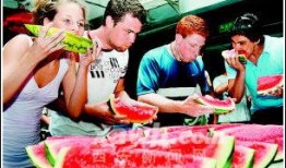 古城吃瓜大赛,吃瓜大赛欢乐盛宴