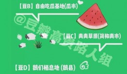 吃瓜人才复健豆瓣,豆瓣见证的蜕变与重生