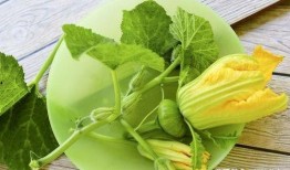 51吃瓜南,揭秘娱乐圈背后的那些事儿